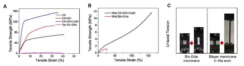 上海交大：用于引导骨再生的新型仿生多功能双层纳米复合膜材料