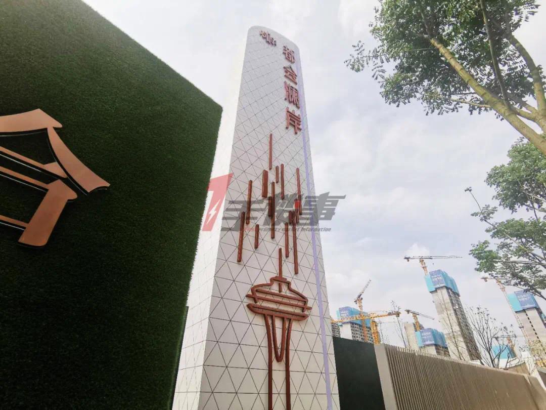 南京南部新城新楼盘有小户型吗,最新南京河西楼盘解析