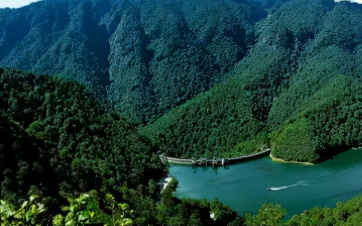 1952年，一农民找到广州市委书记：妈，我是您失散23年的儿子