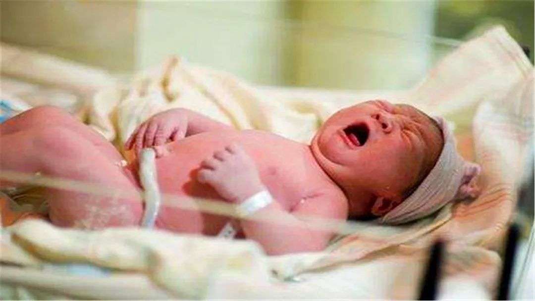 女人为什么会进化出月经,女性为何进化得越来越漂亮