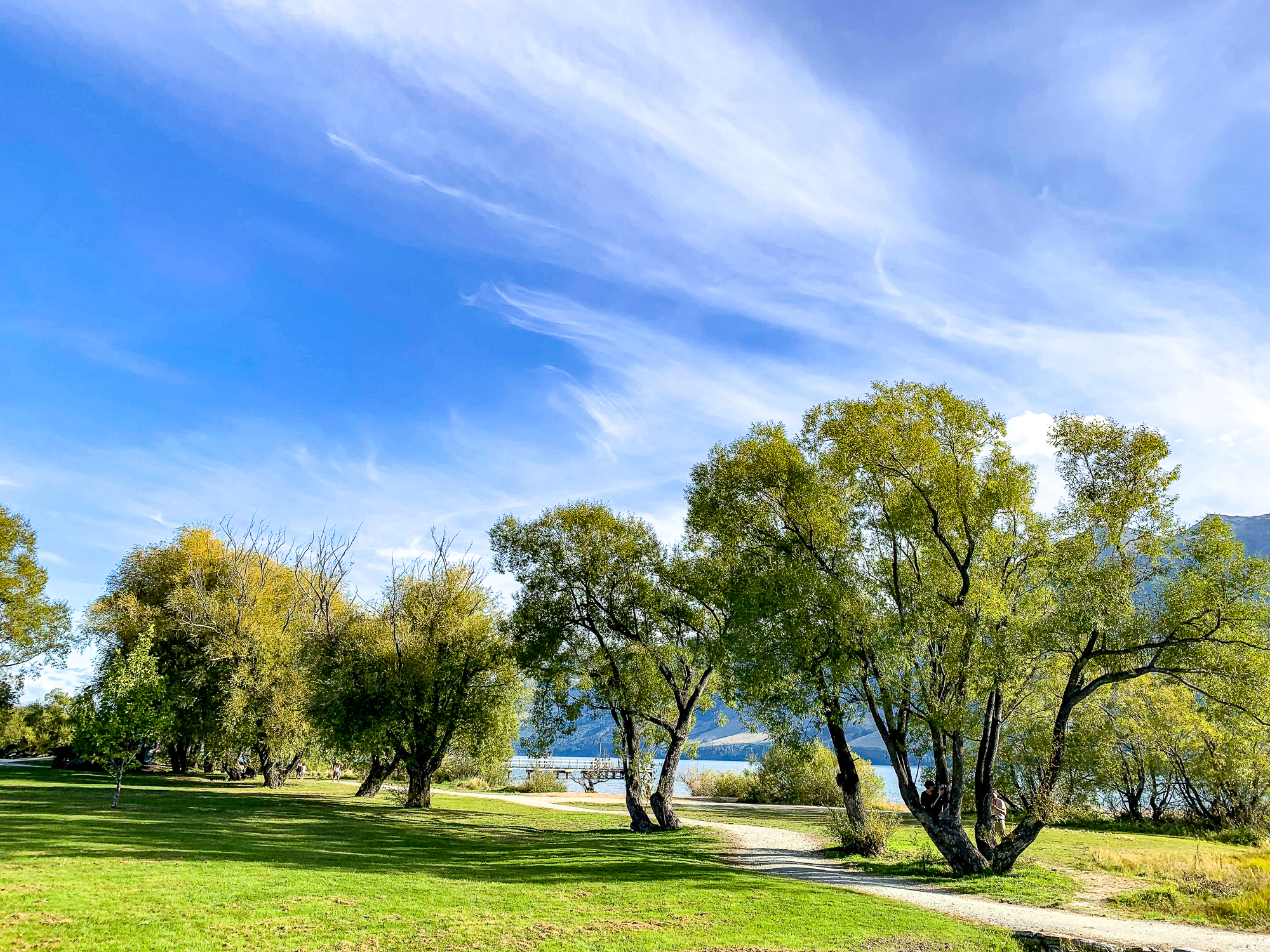 格林诺奇魔戒电影图片,魔戒格林诺奇
