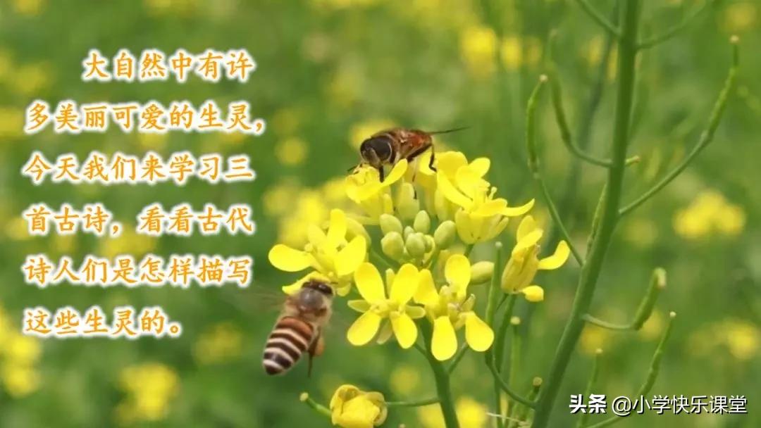 寒假预习部编版本1-3年级,寒假预习课文二年级下