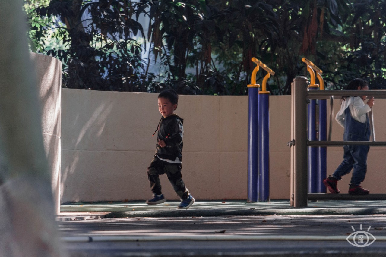 深圳十大顶级公园,深圳市十大风景公园排名