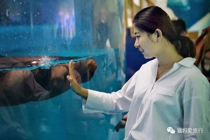 齐河附近带孩子自驾游景点,周边亲子游齐河