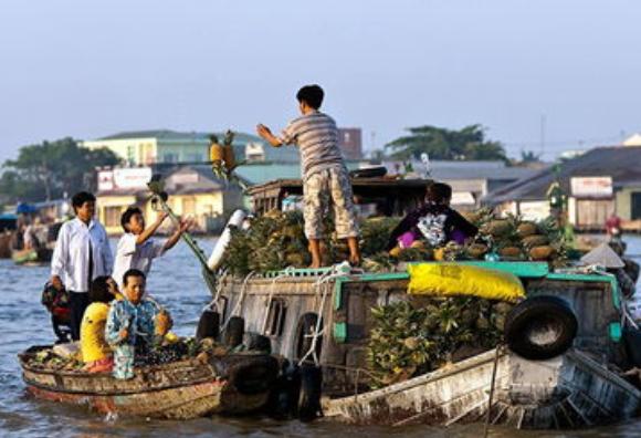 湄公河大虾现在情况怎么样,湄公河大虾泛滥却没人敢吃