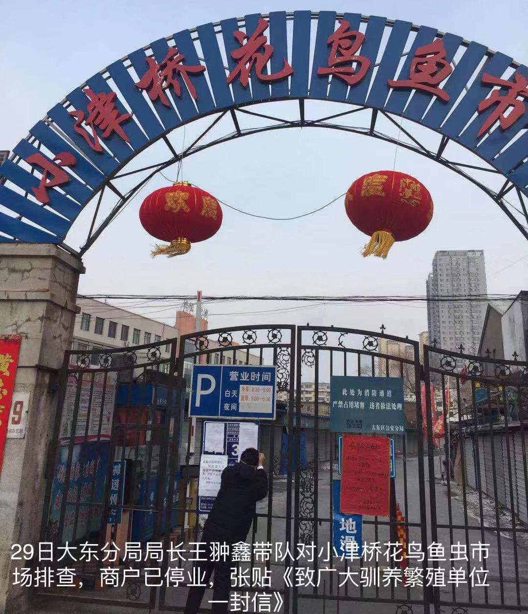 沈阳加强对野生动物监管