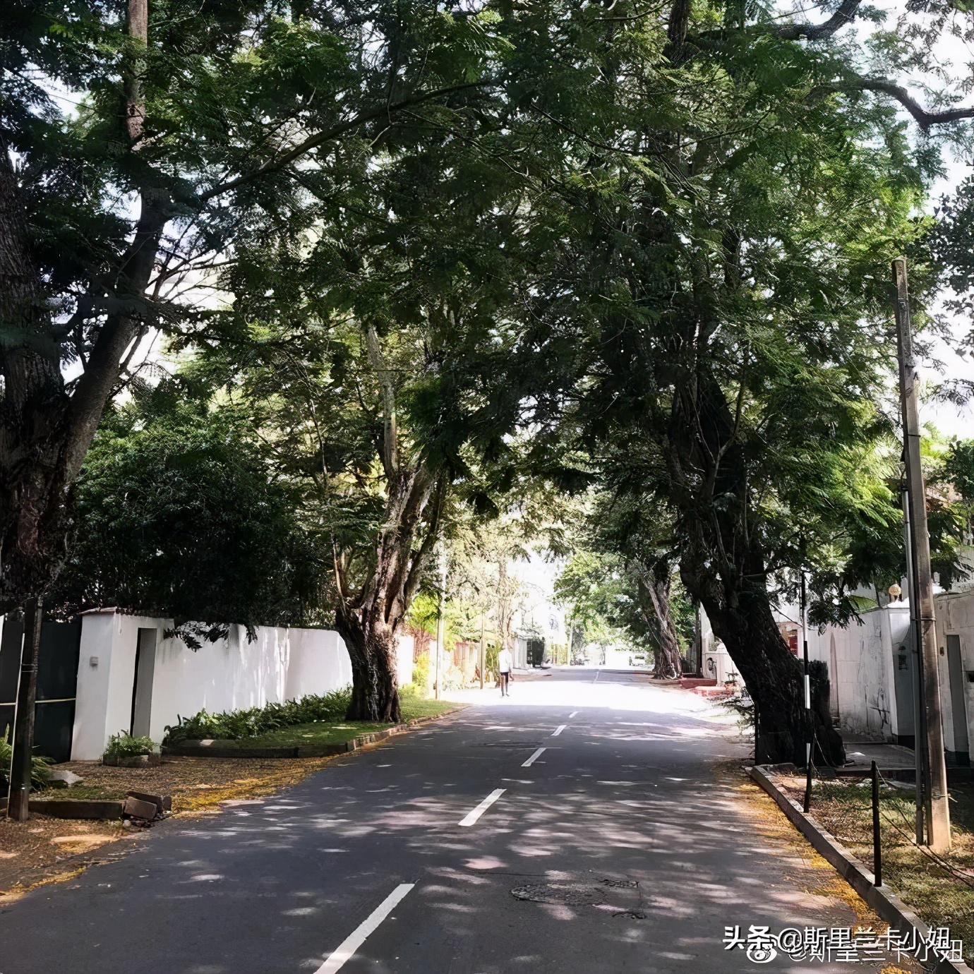 疫情下的异国日记,海外疫情中的生活