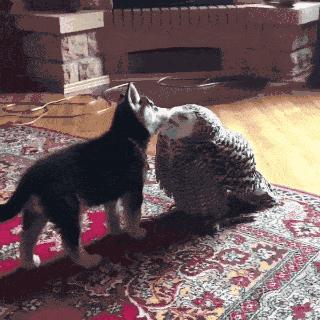 和女朋友去水上乐园,玩水上乐园掉妆