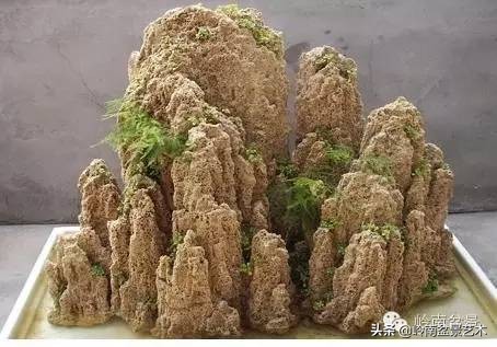 吸水石盆景位置,吸水石盆景图文