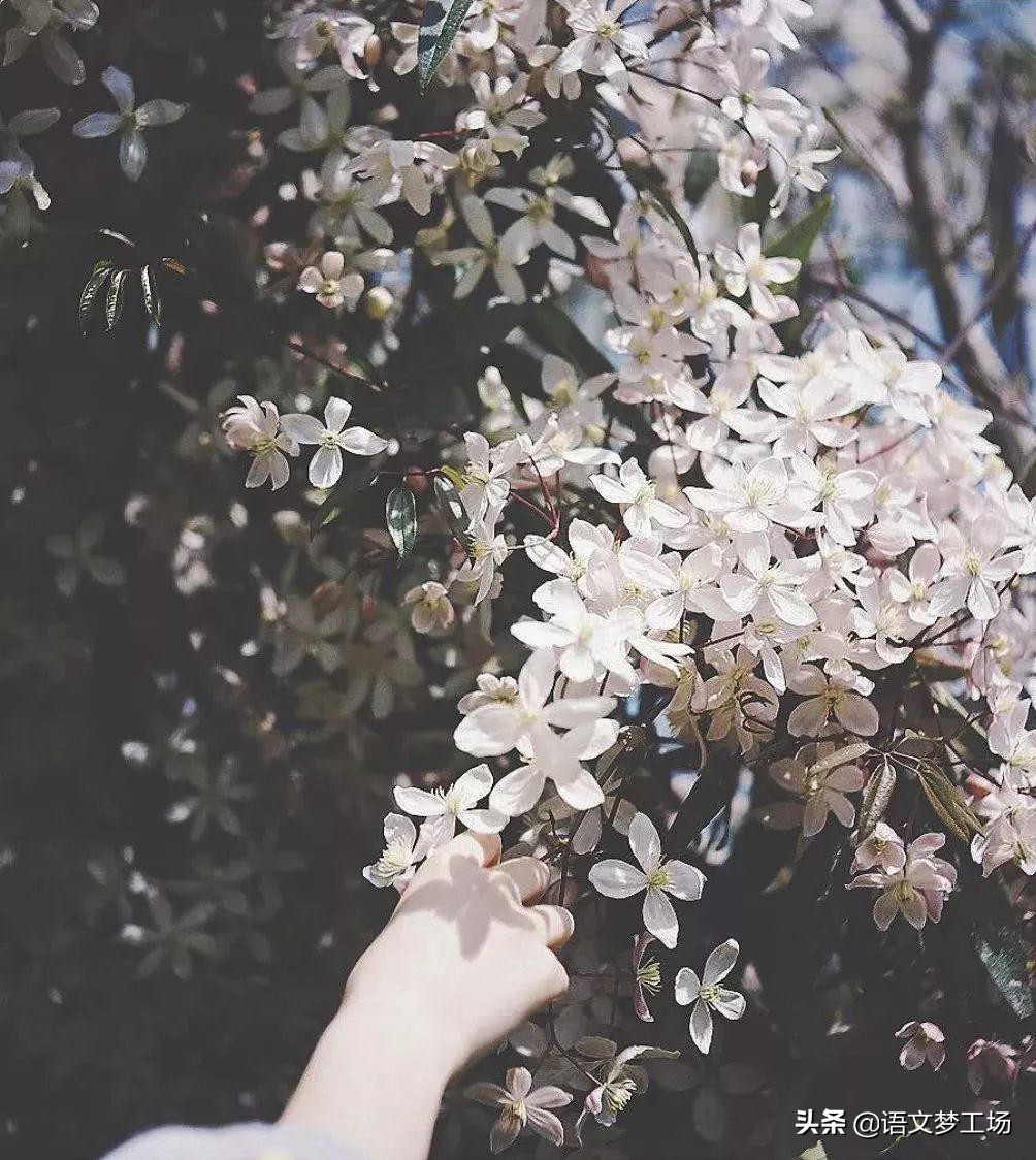 经典作文片段100字左右,经典作文素材集锦91-100则