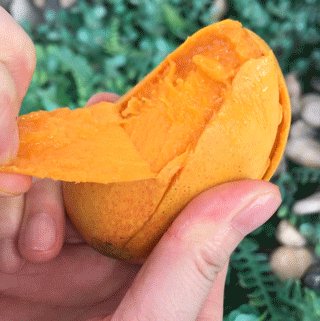 三种芒果最便宜,买芒果的正确方法