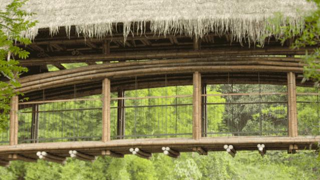 85后香港博士，为重庆人修了一座桥，上万村民请神仙加持