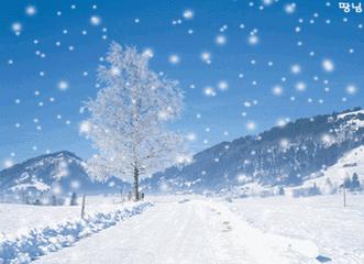 亳州市冬天的雪,亳州冷雪