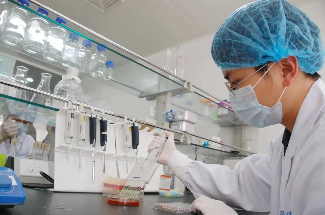 猪瘟防范,猪瘟防控对猪有什么影响