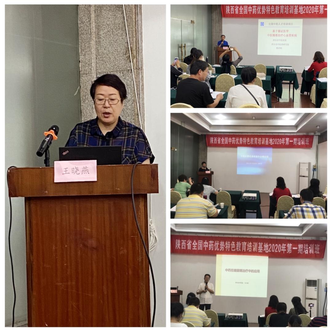 传承中医国粹精华,传承中药国粹弘扬中药文化