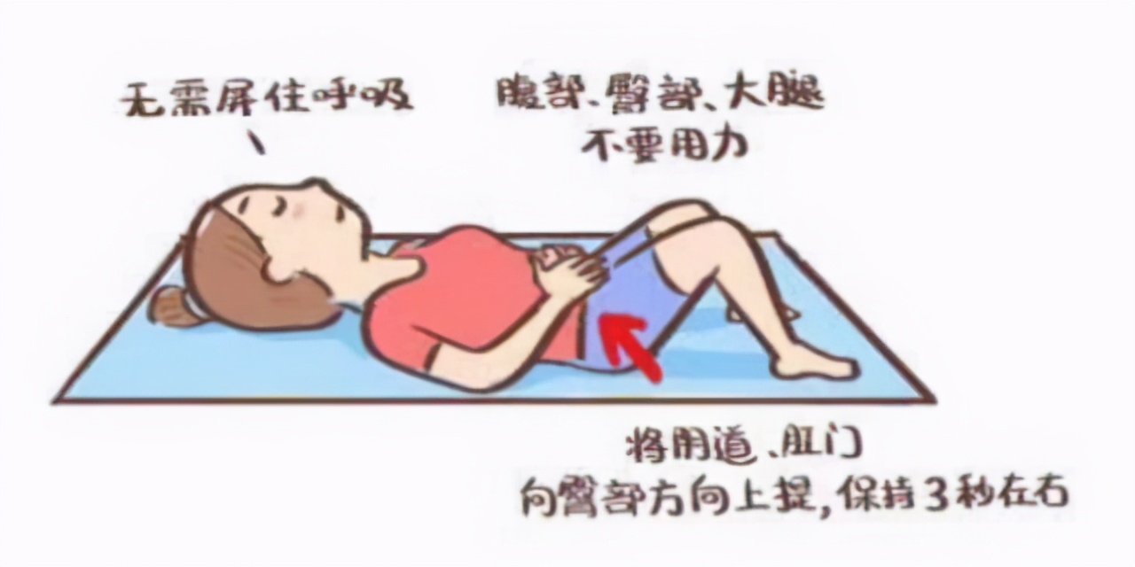 都安全小黄盒|尿湿裤子太尴尬了，产后妈妈如何盆底康复？