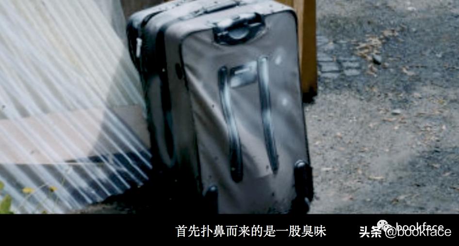 虐猫上瘾后，他预告杀人，从男模到杀人犯，自导自演一场恐怖大戏