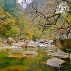 游钓篇｜渔在熊猫故里