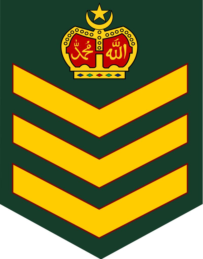 民国国军军装军衔标识,马来西亚军队军衔图集