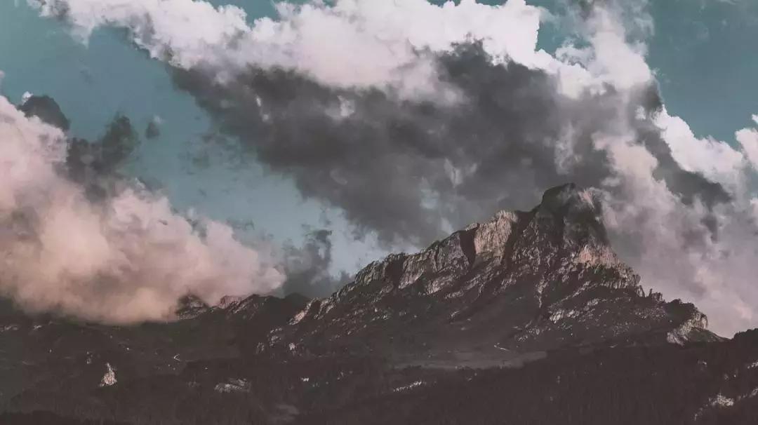 期货市场有什么优势,期货市场盈利来源