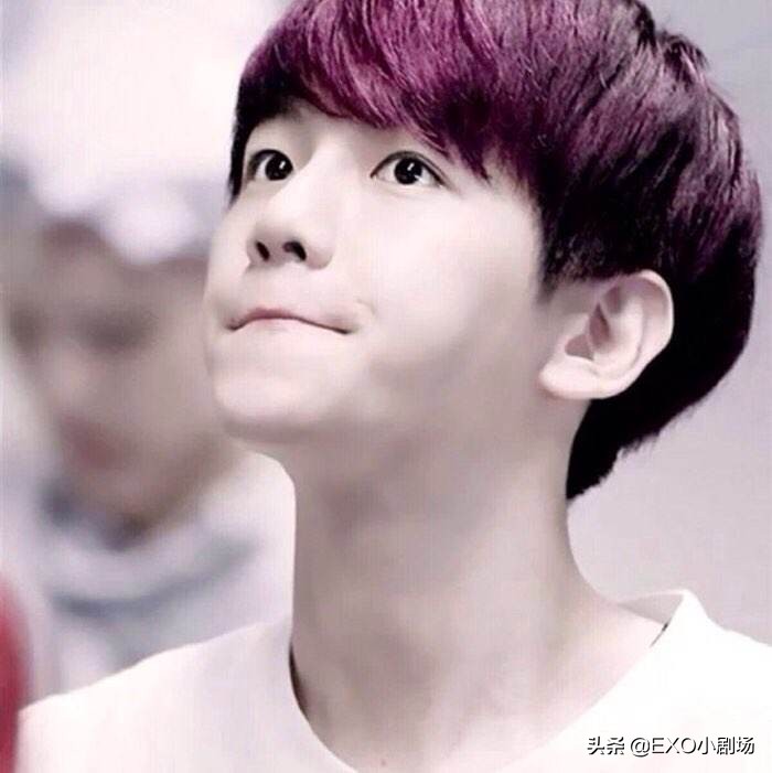 exo十一周年边伯贤loveshot,exo人间理想