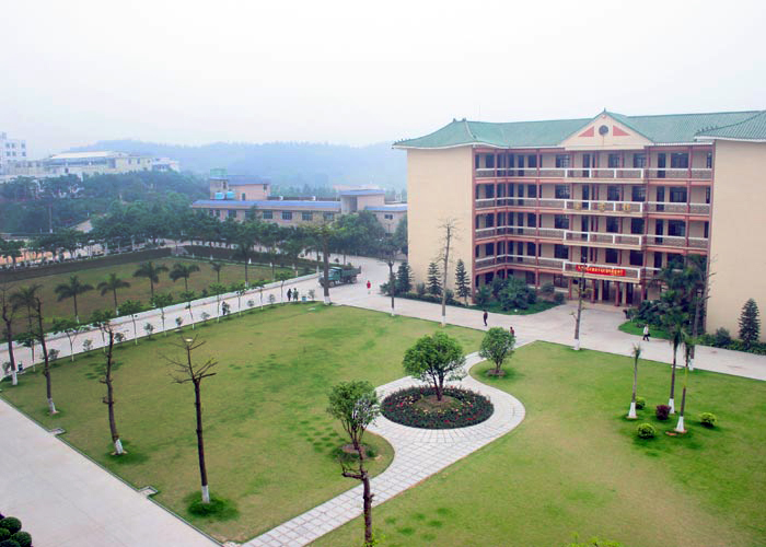 专插本语文复习方法,专插本必背知识点