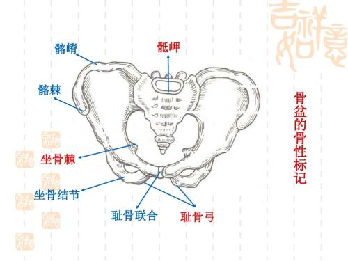 那个生完孩子瘫了的我是怎样熬过来！产后有一种痛叫耻骨联合分离