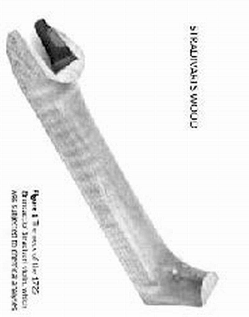 从斯特拉迪瓦里先生的木头说起