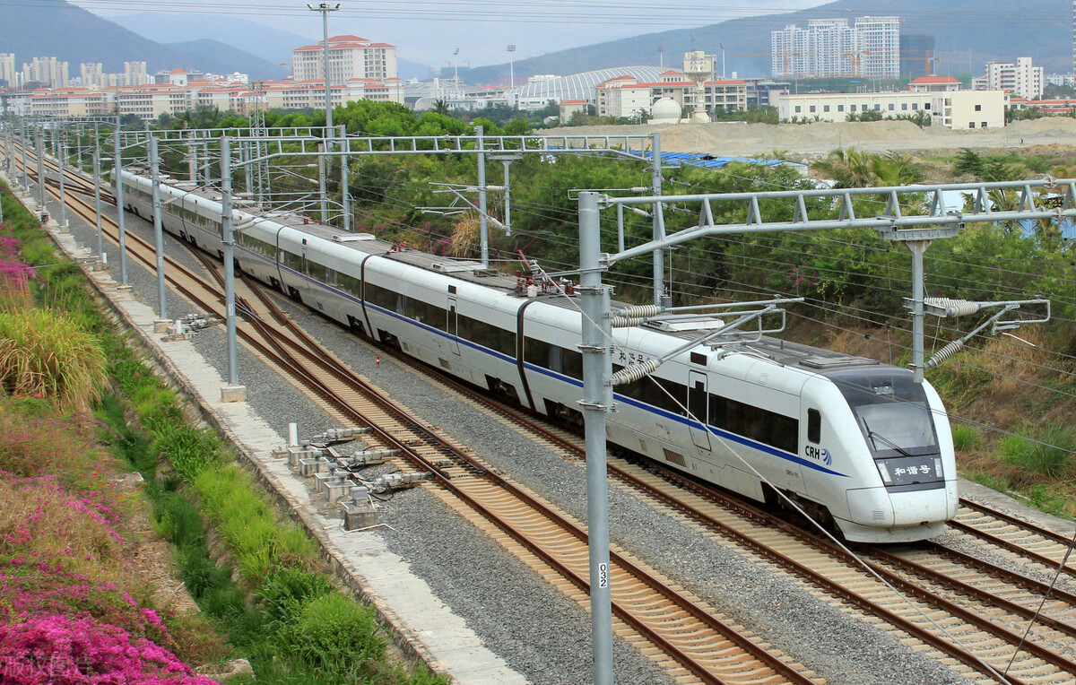 中医温病派与经方派倪海厦,经方学堂中医鬼才倪海厦