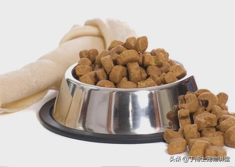 宠物食品店家无需要了解的知识,宠物食品从哪几个方面入手