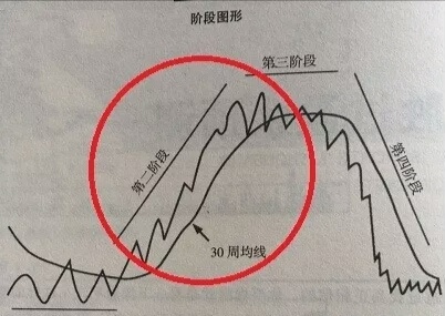 成长股的基本面指标是啥样的,成长股有哪些重要特征