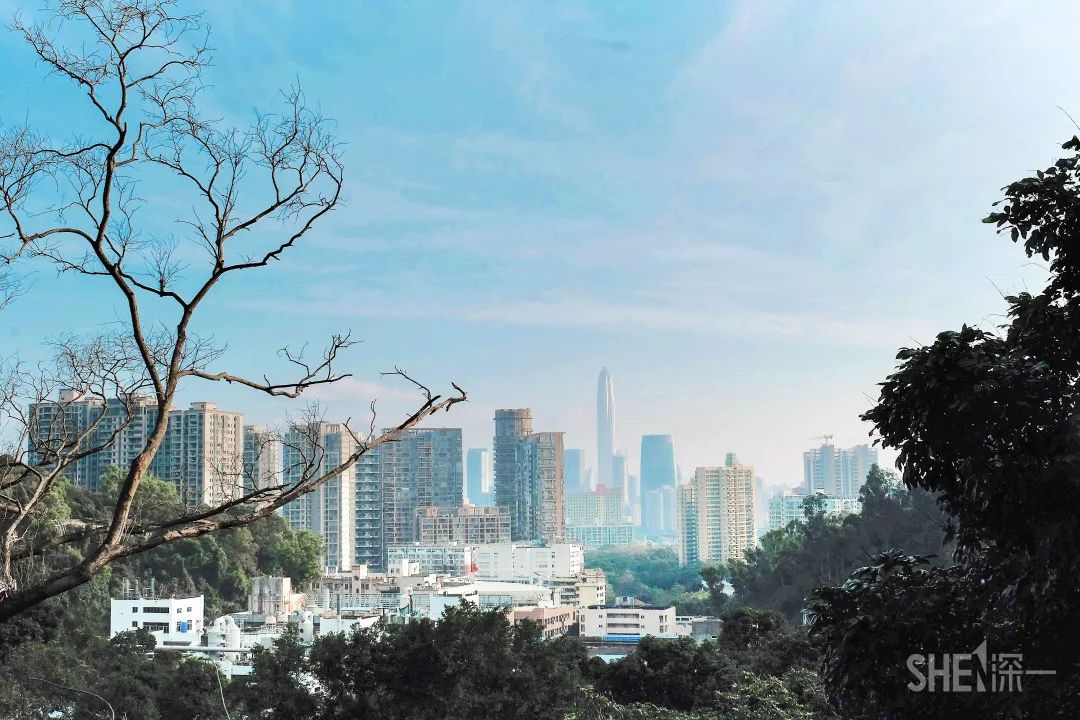 深圳30个经典片区,深圳这座城市承载了太多回忆