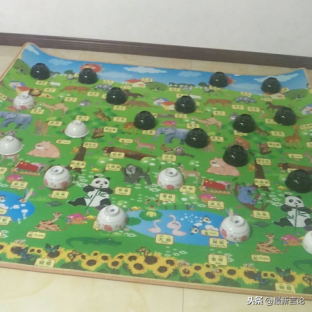 青训和体教结合,青训练习配合