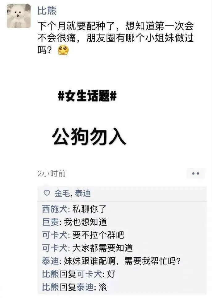 假如狗狗也有微信朋友圈,狗狗第一天来你家怎么发朋友圈