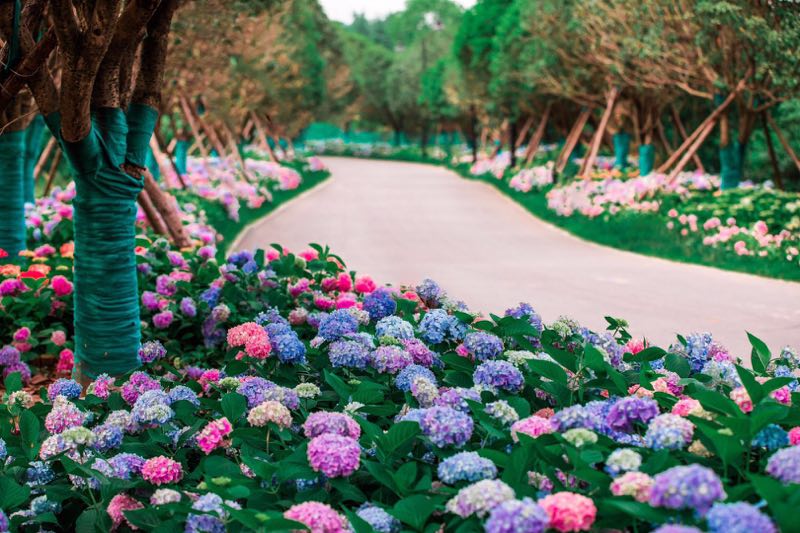 旅游指南手绘图片简单又好看,旅行攻略手绘图文大全简单又漂亮