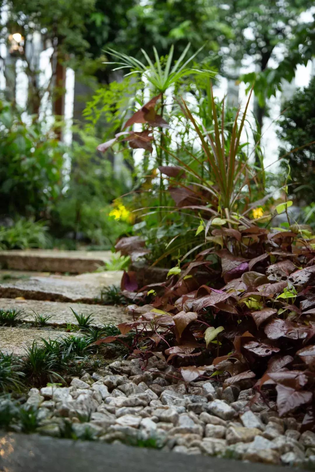 私密性极高的美学餐厅,被称容桂“御温泉”,知道的人并不多...