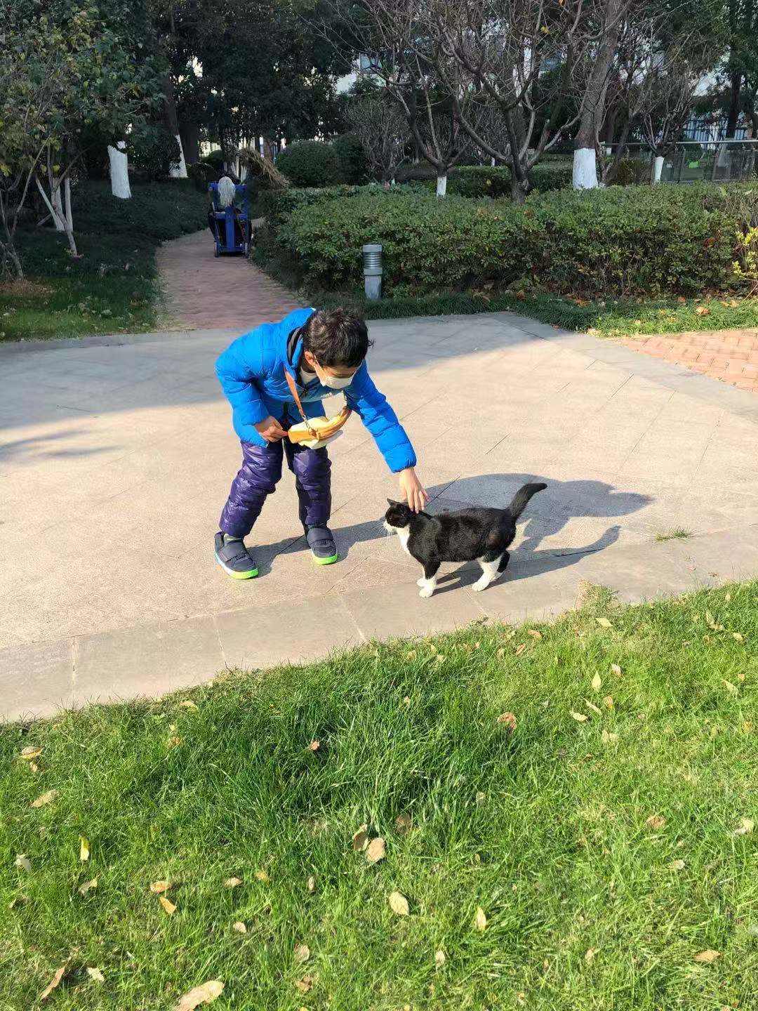 嘉蓝三文鱼猫粮,嘉蓝猫粮和皇家猫粮