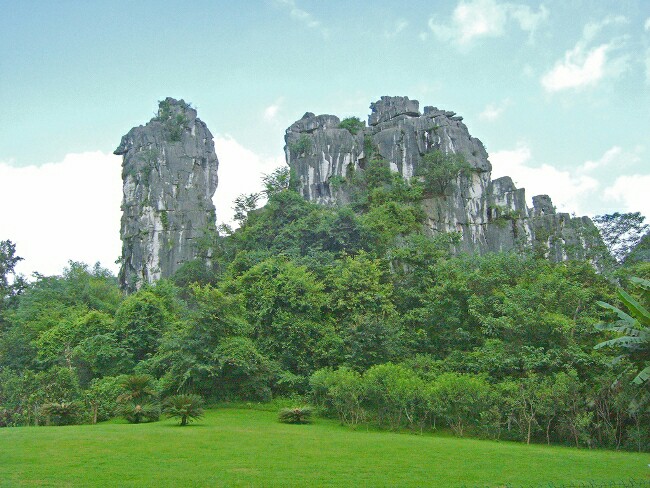 春天花儿开春意正香浓是什么意思,桃花朵朵开春意浓