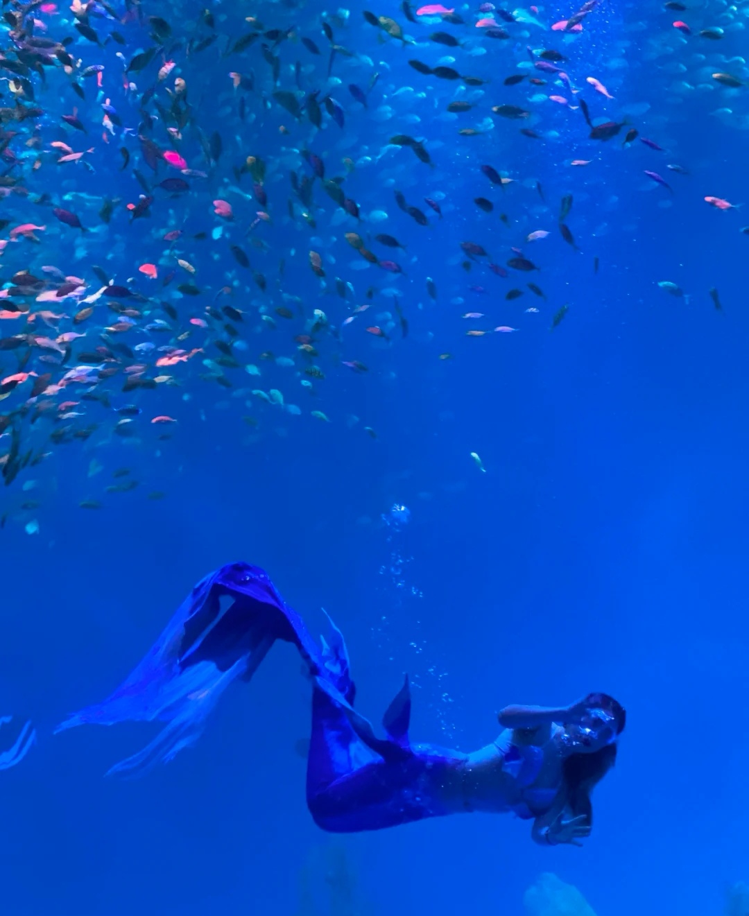 合肥周边亲子自驾游推荐景点,合肥亲子室内一日游攻略