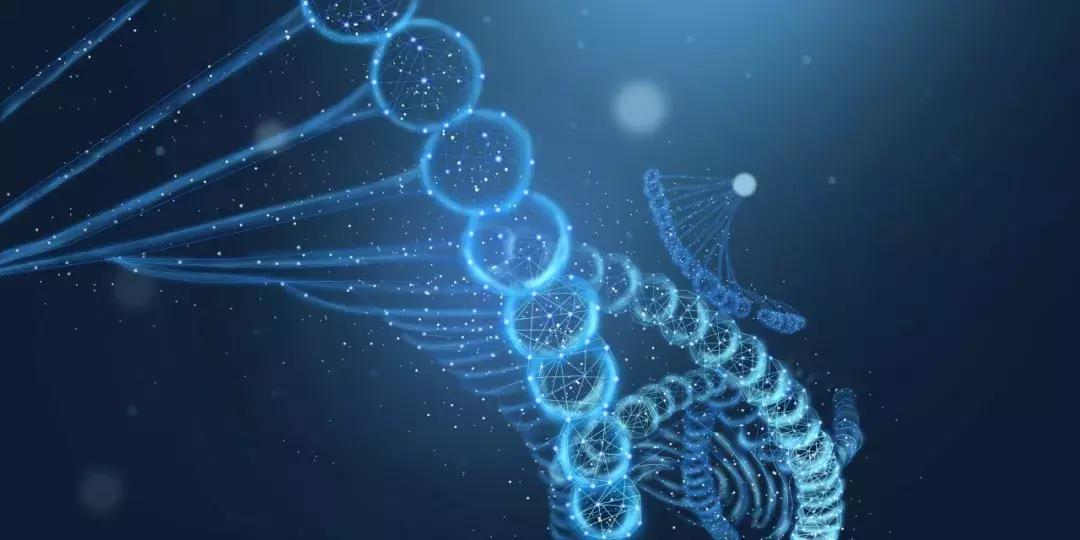 晚报:恒瑞、正大天晴阿比特龙片定价公布,多数营养补充剂无效果