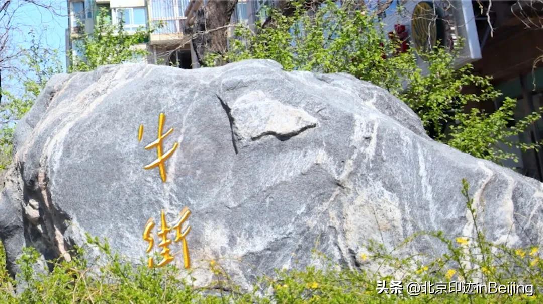 鐗涜鑳″悓鑿滄槸娓呯湡鐨勫悧,鍖椾含鐗涜闄勮繎鑳″悓閲岀殑娓呯湡椁愰