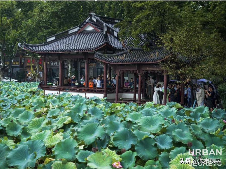 江南100，杭州99