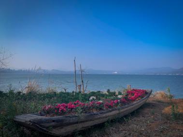 觅春出行湖岛度假丨来泊洲佰翔一键解锁春天吧！