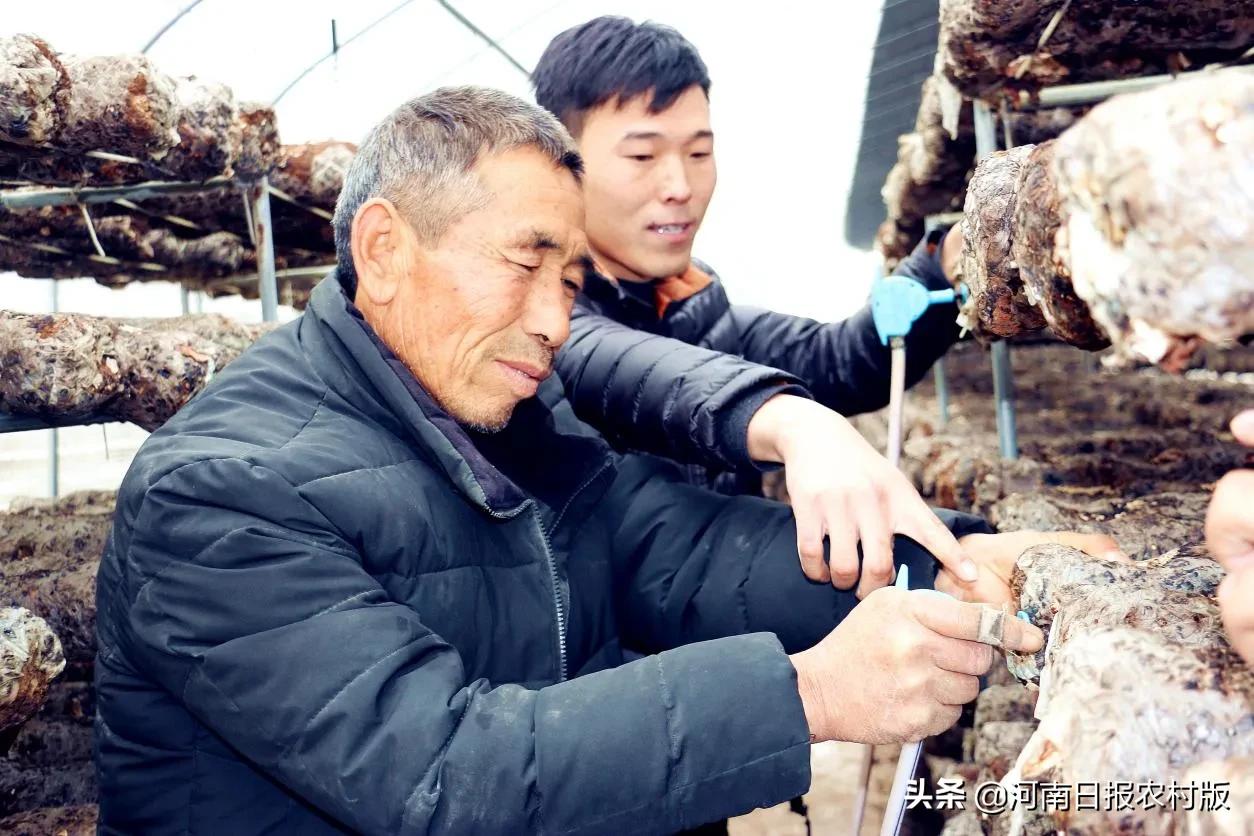 河南尉氏：大学生返乡创业，带领村民脱贫致富