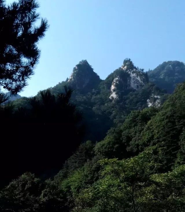 椴佸北灏у北鏆撮洦,椴佸北灏у北閲戦《