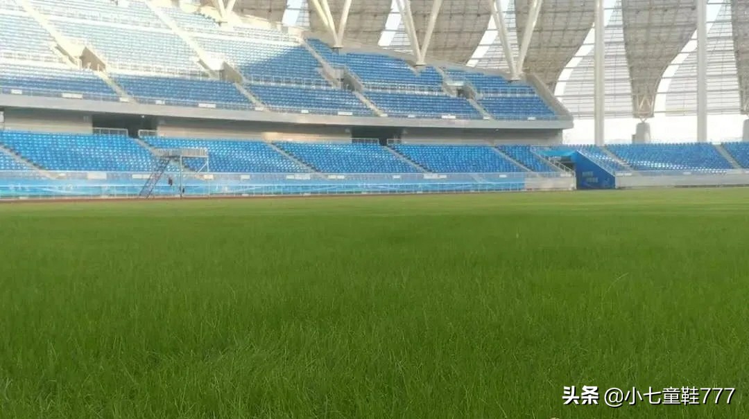 武汉体育中心主体育场安保,黄石市奥体中心篮球训练馆