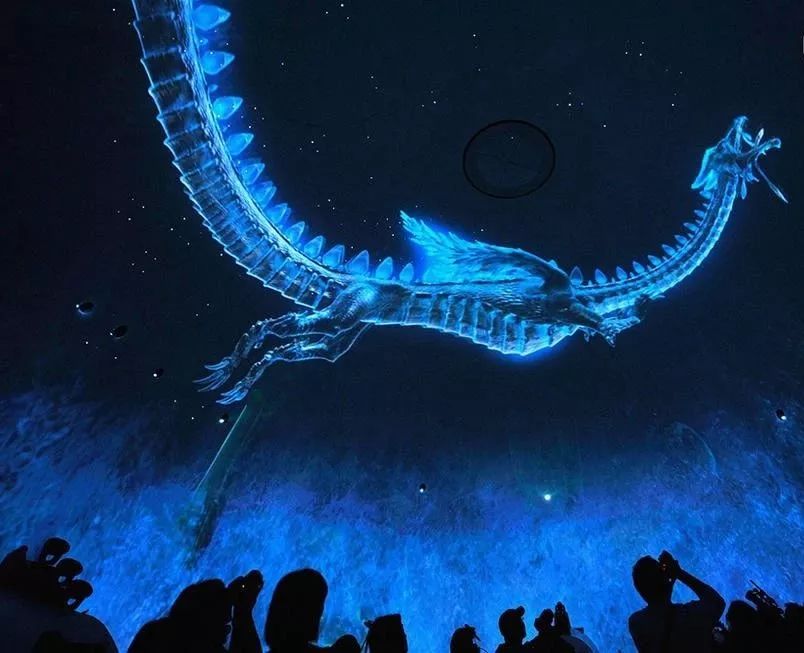 赌王去澳门了吗,赌王去世为什么大房没有分到家产