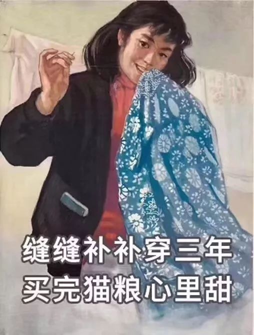 猫咪挑食不怎么吃怎么办,猫咪怎样的表现证明它是挑食了