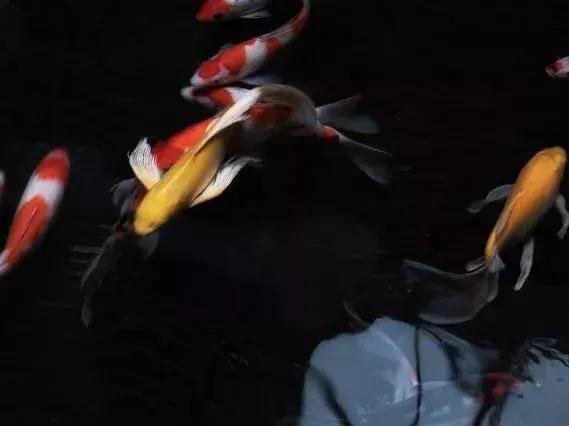 乌镇住宿哪里最好,乌镇住宿是住景区内好还是外面好