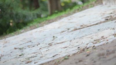 adidast头鞋脚感,adidas曾经的刀锋鞋